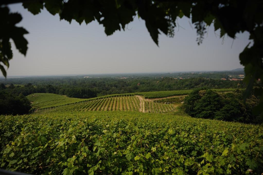 Locanda Villa Cavalleri Gattinara Luaran gambar